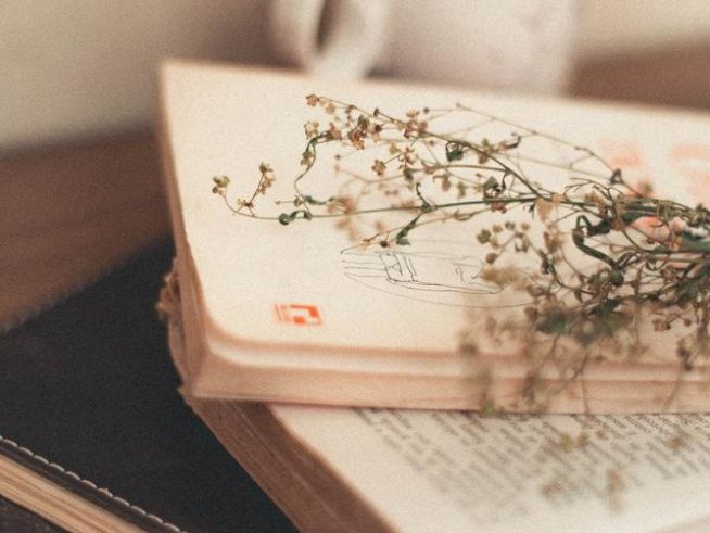 Снимка: pexels