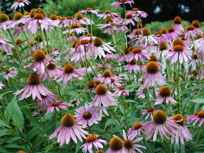 Снимка: Sxc.hu