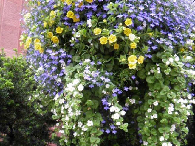 Снимка: Вергиния Генова