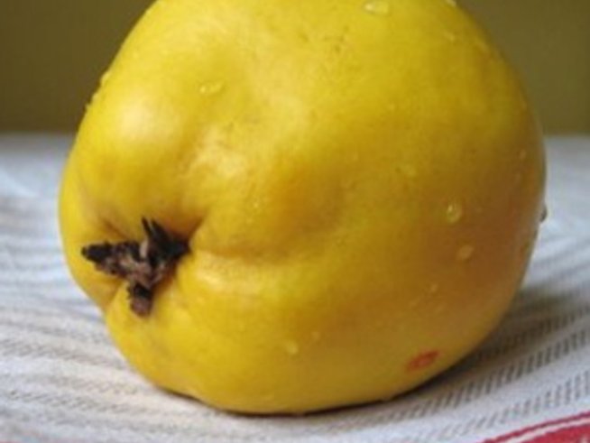 Слънчеви дюли за декорация и по-рядко за ядене