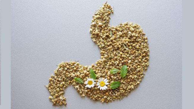 5 чая за добро храносмилане.Снимка: istock