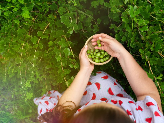 Снимка: istock