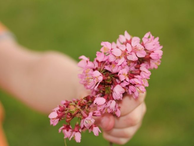 Снимка: Sxc.hu