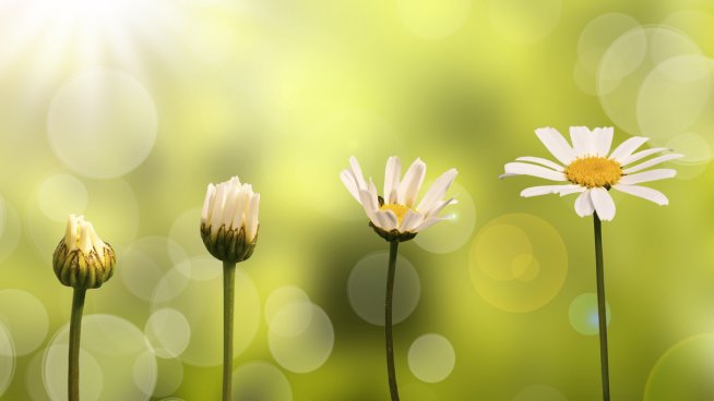 Да променим живота си само за година. Снимка: istock