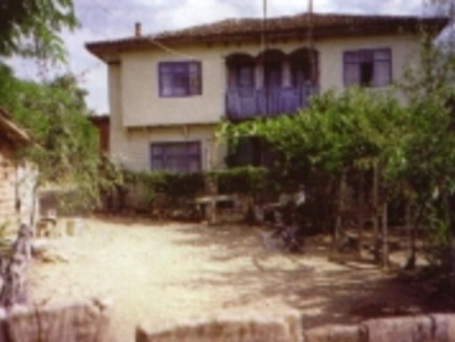 Завръщане към корените