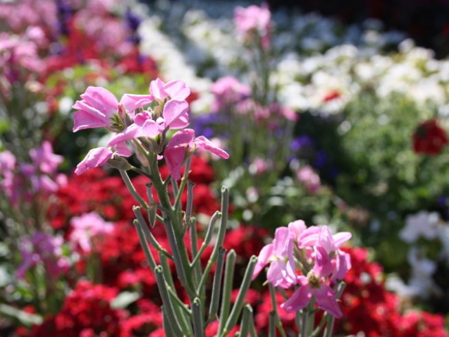 Снимка: Sxc.hu