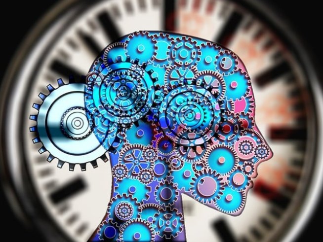 Снимка: pixabay