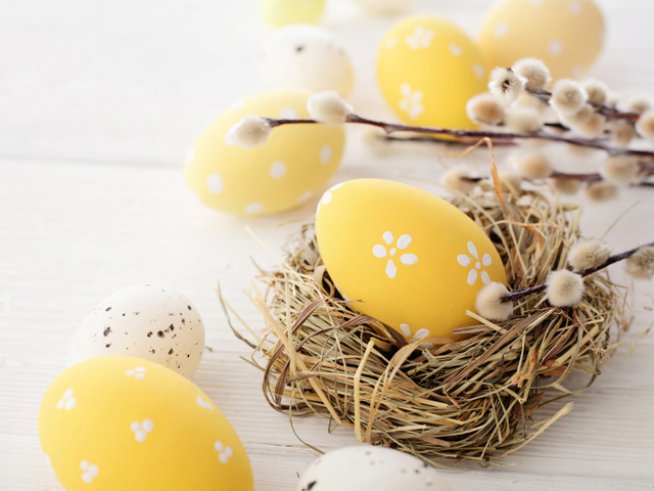 снимка: istock