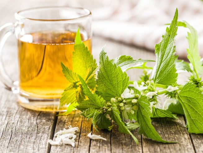 Снимка: Istock