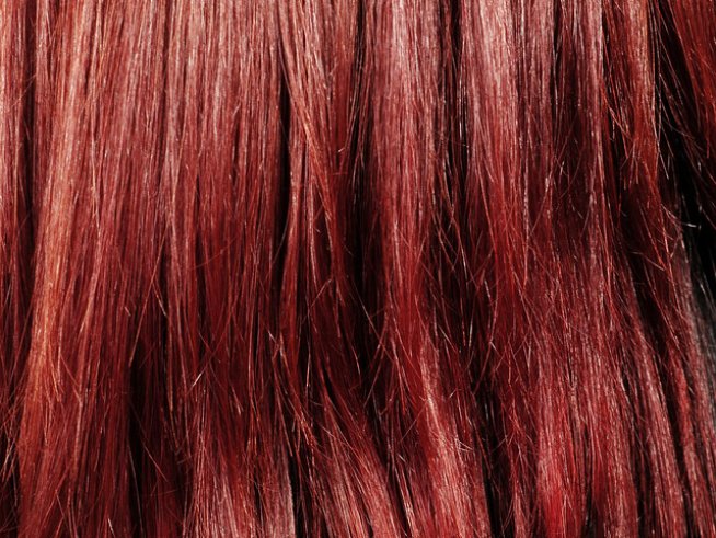 Снимка: Sxc.hu