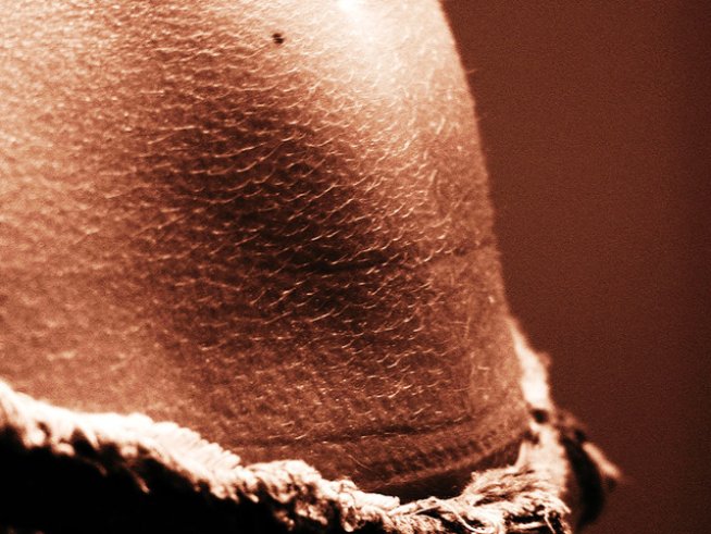 Снимка: Sxc.hu