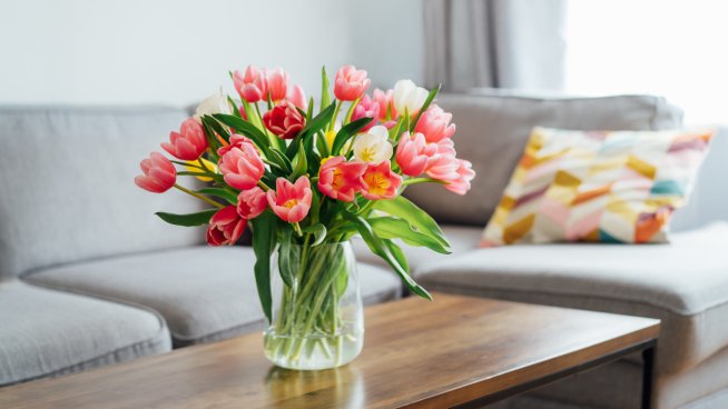 Как правилно да съхранявате луковиците на лалета? Снимка: istock