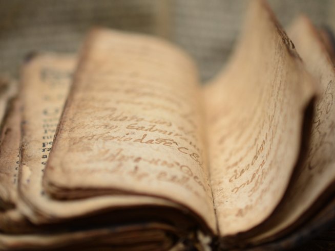 Снимка: istock