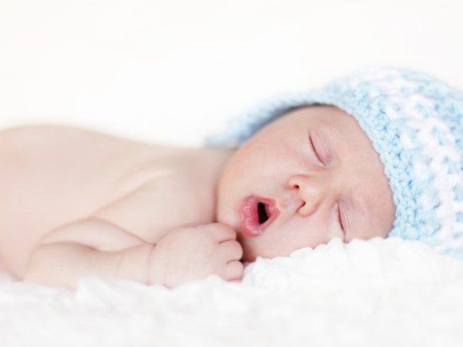 Снимка: iStock