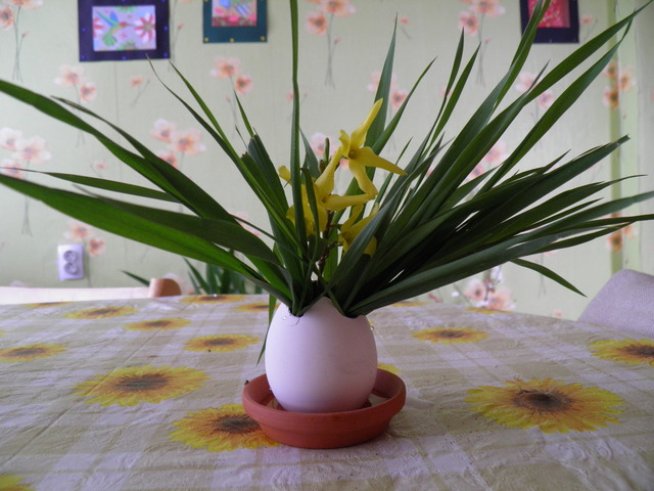 Снимка: Вергиния Генова