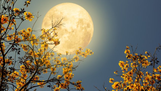 3 зодии с най-голям късмет на пълнолунието на 7 септември.Снимка: iStock