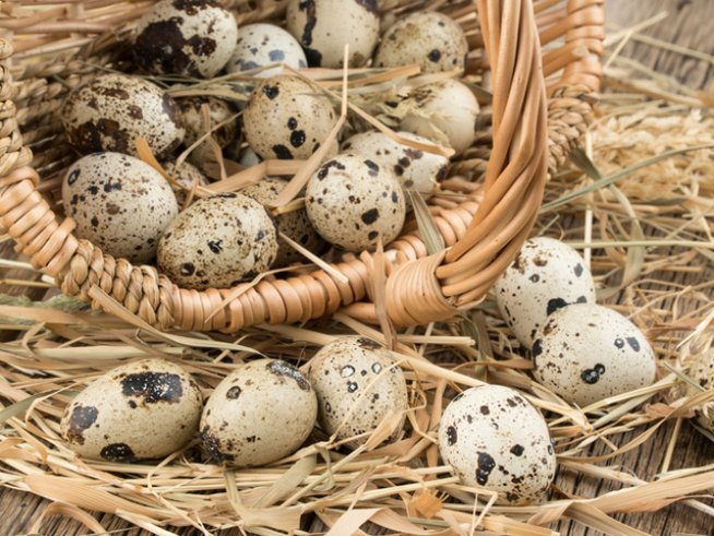 Снимка: istock