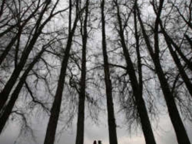 Стотици еколози на протест заради спорните промени в Закона за горите