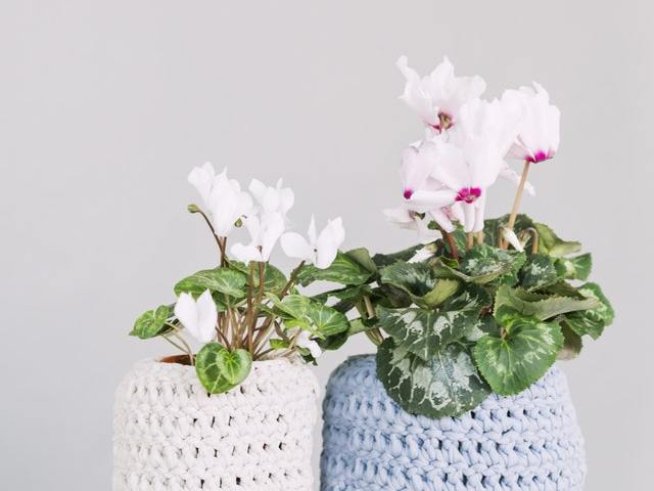 Снимка: pexels