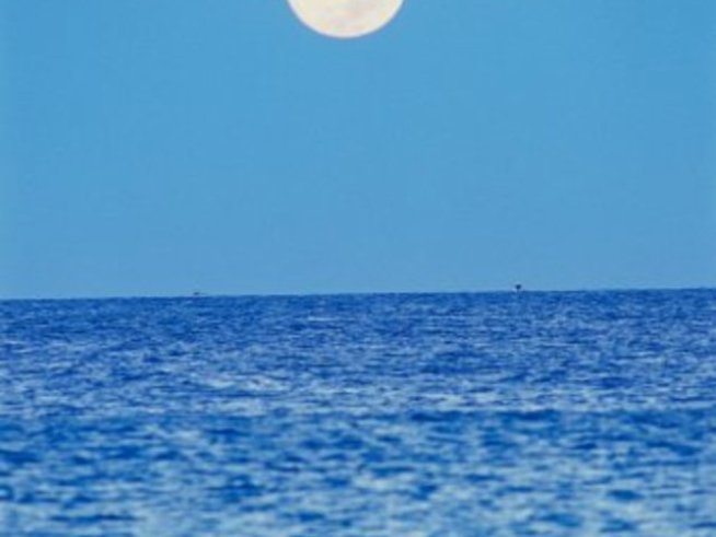 Снимка: Gettyimages.com