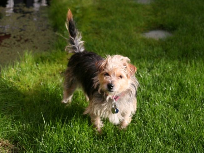 Снимка: Sxc.hu