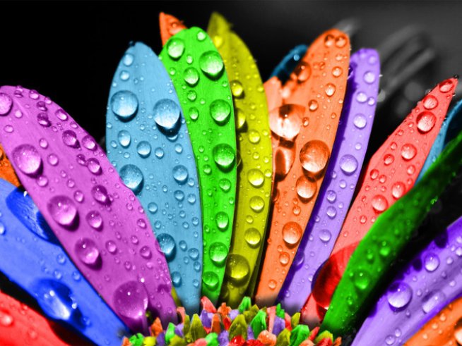 Снимка: freeimages.com

