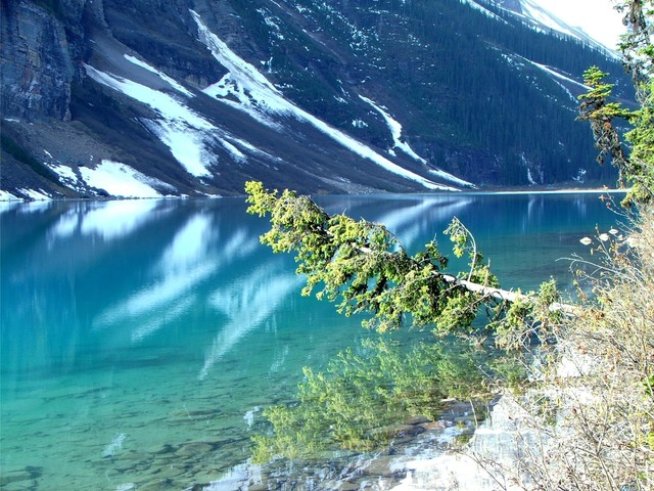 Снимка: Sxc.hu