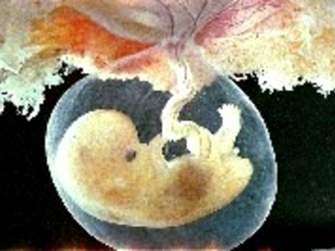 С 9 месеца на училище през ноември в София