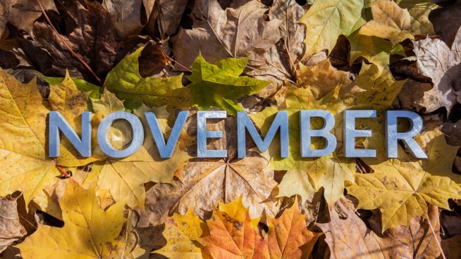 Снимка: iStock