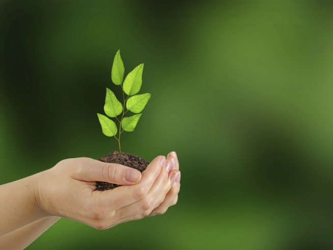 Снимка: istock