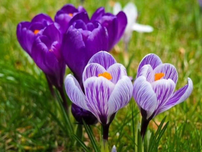 Снимка: Sxc.hu