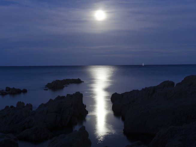 Снимка: Sxc.hu