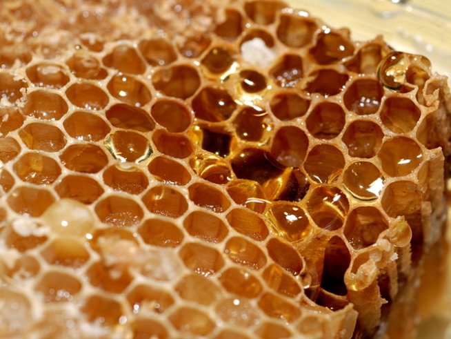 Снимка: Sxc.hu