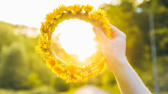 Да се откъсне цвете или венец от зеленина. Снимка: istock