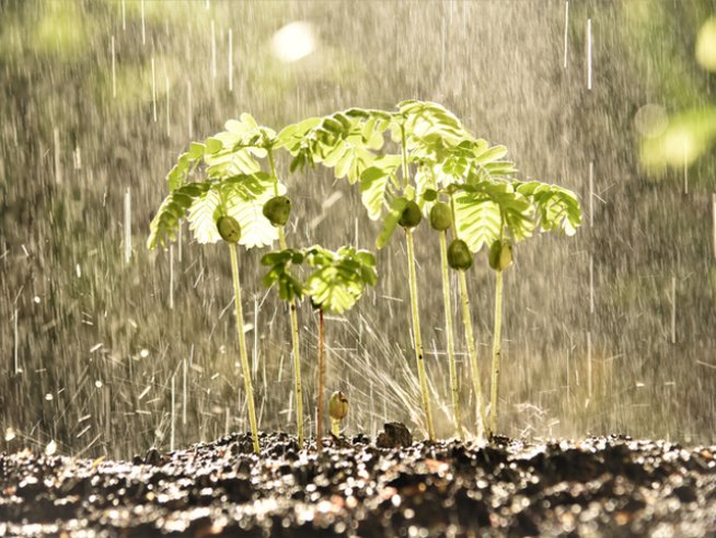 Снимка: istock