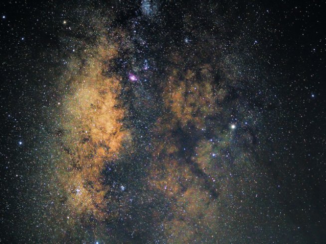 Снимка: istock