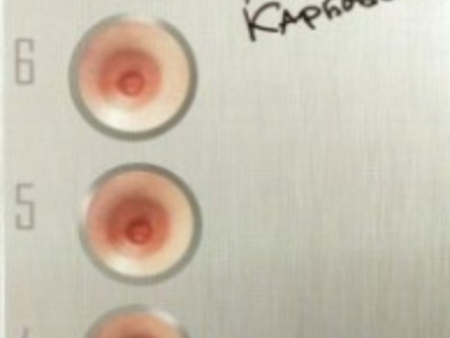 Мартин Карбовски оперира българската литература