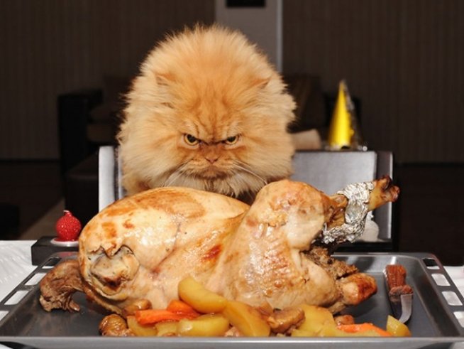 Снимка: flickr.com, Hulya Ozkok