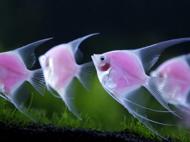 Снимка: Архив Reuters