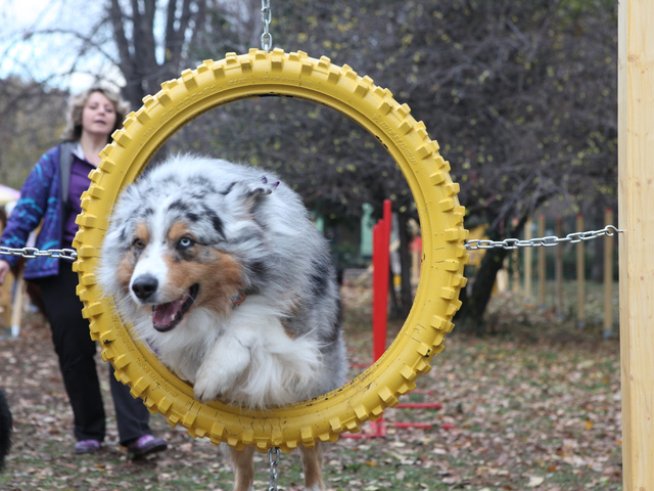 Специална площадка за кучета откриха в София