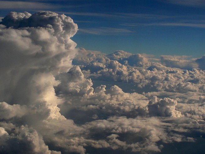 Снимка: Stardust