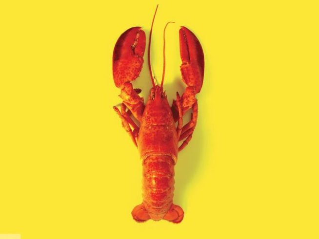 Снимка: Издателство "Колибри"