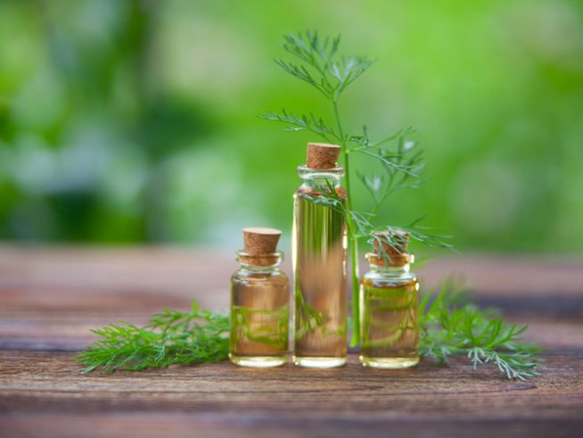 Снимка: istock