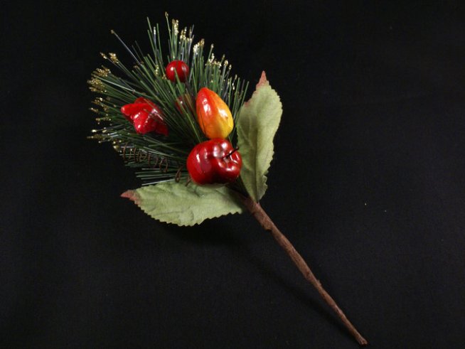 Снимка: shc.hu