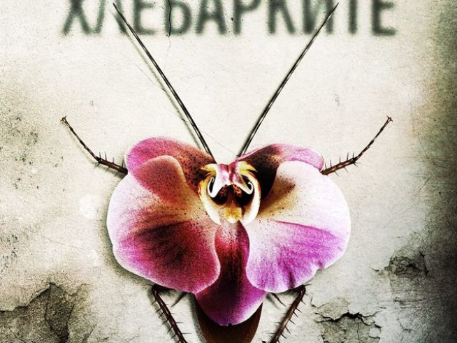 Корица: издателство "Емас" 