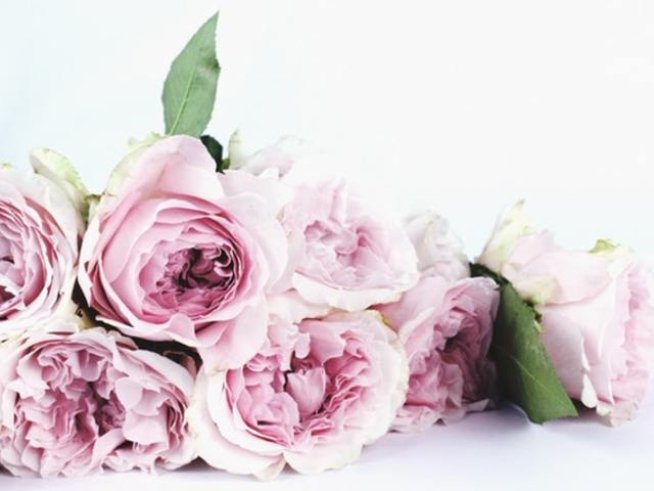 Снимка: pexels