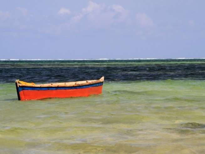 Снимка: thinkstock