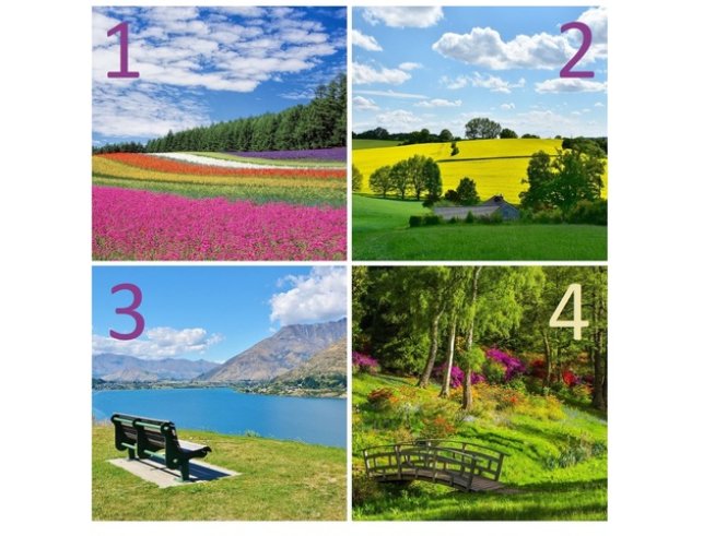 Снимки: pixabay