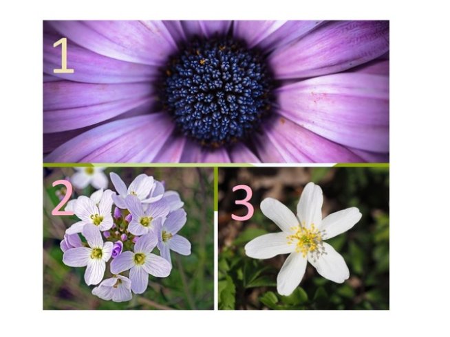 Снимка: pixabay