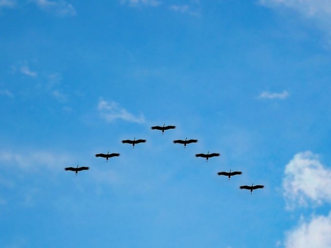 Снимка: pixabay